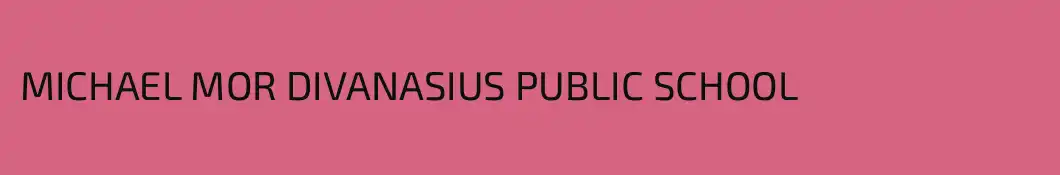 MICHAEL MOR DIVANASIUS PUBLIC SCHOOL
